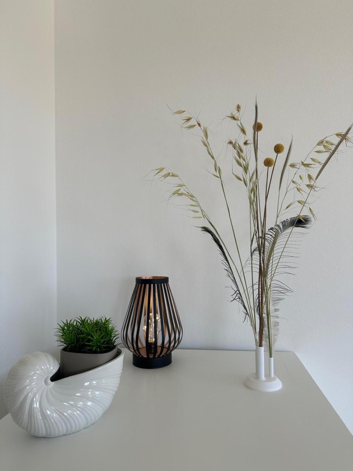 212Bellavista Apartments Neu Pomer Kroatien Dış mekan fotoğraf